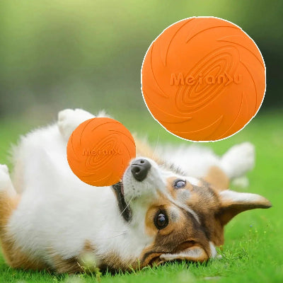 Frisbee-FlyDogâą-Orange-Chien en balade
