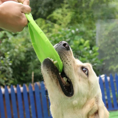 Frisbee-FlyDogâą-Vert-Chien en balade