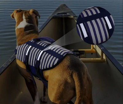 Gilet de sauvetage pour chien - Chien en balade