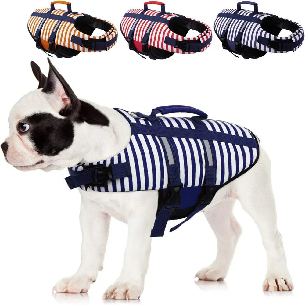 Gilet de sauvetage pour chien - Chien en balade