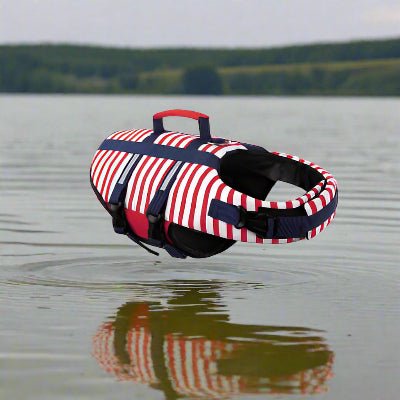 Gilet de sauvetage pour chien - Chien en balade
