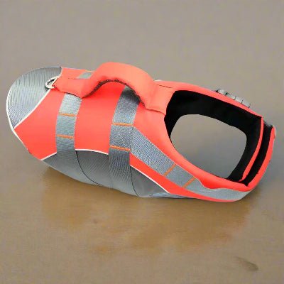 Gilet de sauvetage pour chien | GSC™ Conception robuste et sécuritaire - Chien en balade
