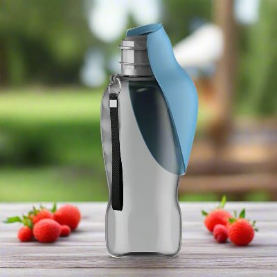 Gourdes pour Chien - DogWaterBottle™ - Chien en balade