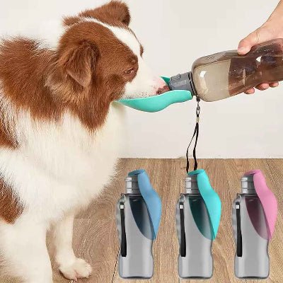 Gourdes pour Chien - DogWaterBottle™ - Chien en balade