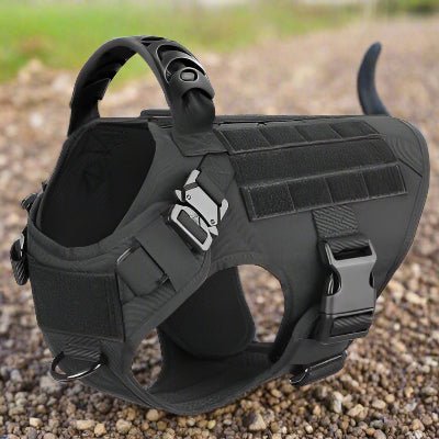 Harnais chien| militaire SFP - 1™ Contrôle parfait sans traction - Chien en balade