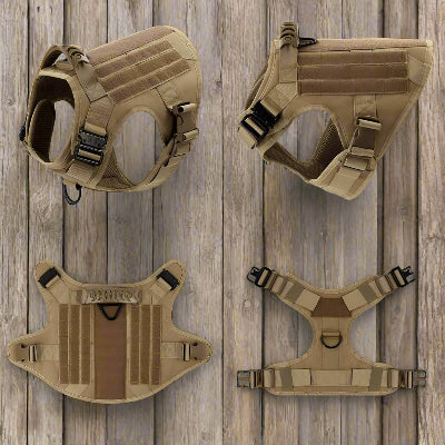Harnais chien| militaire SFP - 1™ Contrôle parfait sans traction - Chien en balade