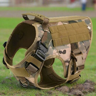 Harnais chien| militaire SFP - 1™ Contrôle parfait sans traction - Chien en balade