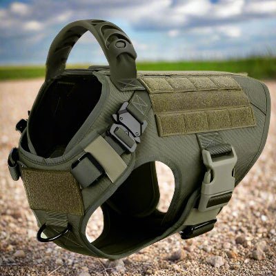 Harnais chien| militaire SFP - 1™ Contrôle parfait sans traction - Chien en balade