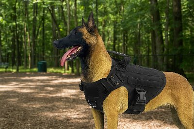 Harnais chien| militaire SFP - 5™ Ensemble résistant à l'eau et aux déchirures - Chien en balade