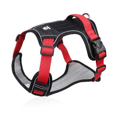 Harnais chien| Taktik™ Confortable et léger - Chien en balade