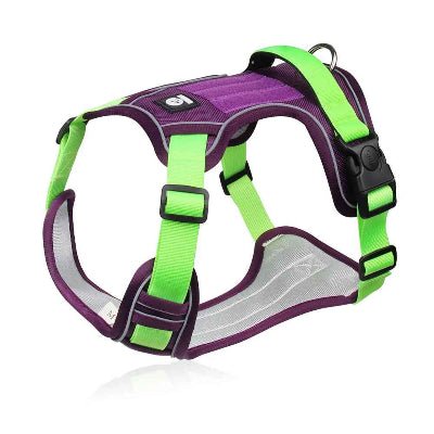 Harnais chien| Taktik™ Confortable et léger - Chien en balade