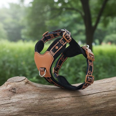 Harnais pour chien | Imprimé Confort & Sécurité - Chien en balade