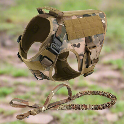 Harnais pour chien militaire SFP 2 camouflage-Chien en balade