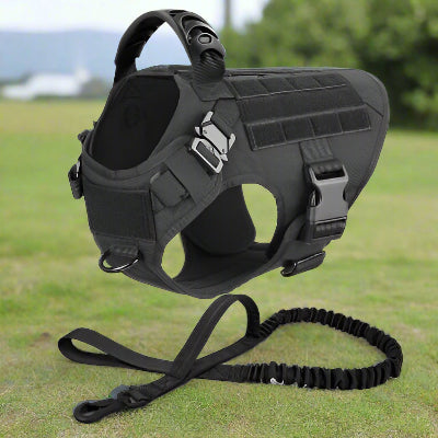 Harnais pour chien militaire SFP 2 noir-Chien en balade