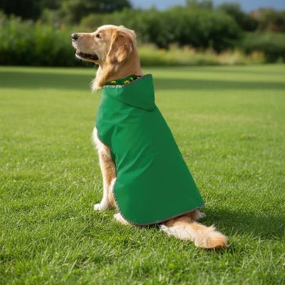 Imperméable chien | NoWet™ Chaud et Élégant - Chien en balade
