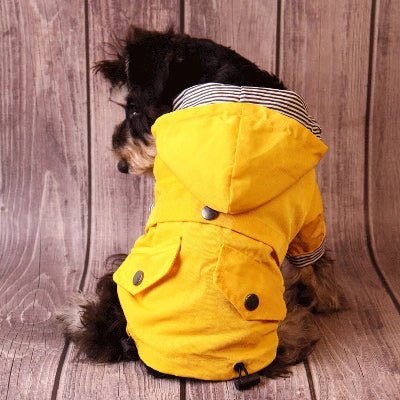 Imperméable matelot pour chien⹠vue dos- Chien en balade