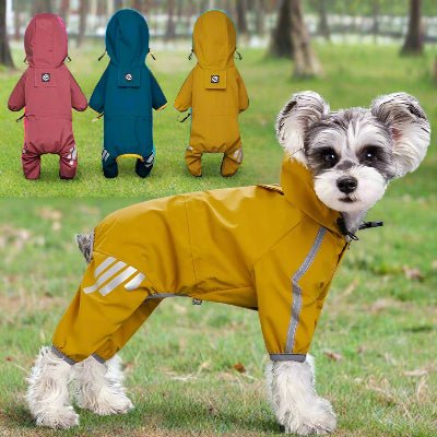 Imperméable petit chien 3 belle couleures| Splash™ - Chien en balade
