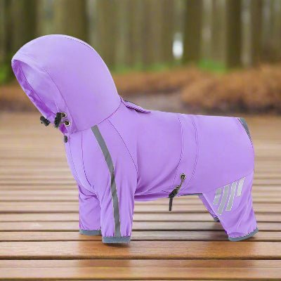 Imperméable petit chien violet| Splash™ - Chien en balade