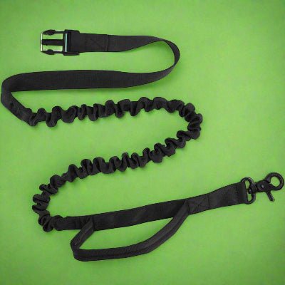 Laisse chien ceinturo noir |Chien en balade