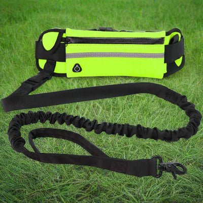 Laisse chien ceinturo vert | Chien en balade