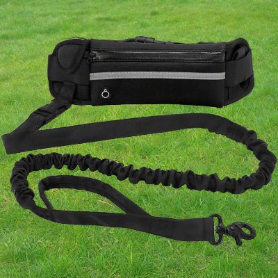 Laisse chien ceinturo noire| Chien en balade