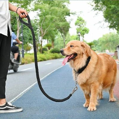 laisse chien| grand chien Robusto tressée
