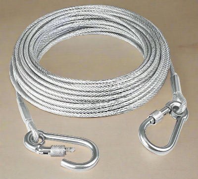 laisse pour chien | d'arrimage TiedDog⹠Solidité tranquilité d'esprit - Chien en balade