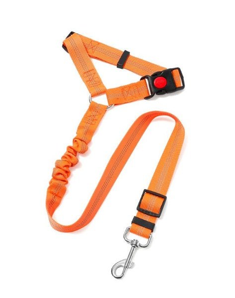 Laisse pour chien| Pro - Teck™ - Chien en balade