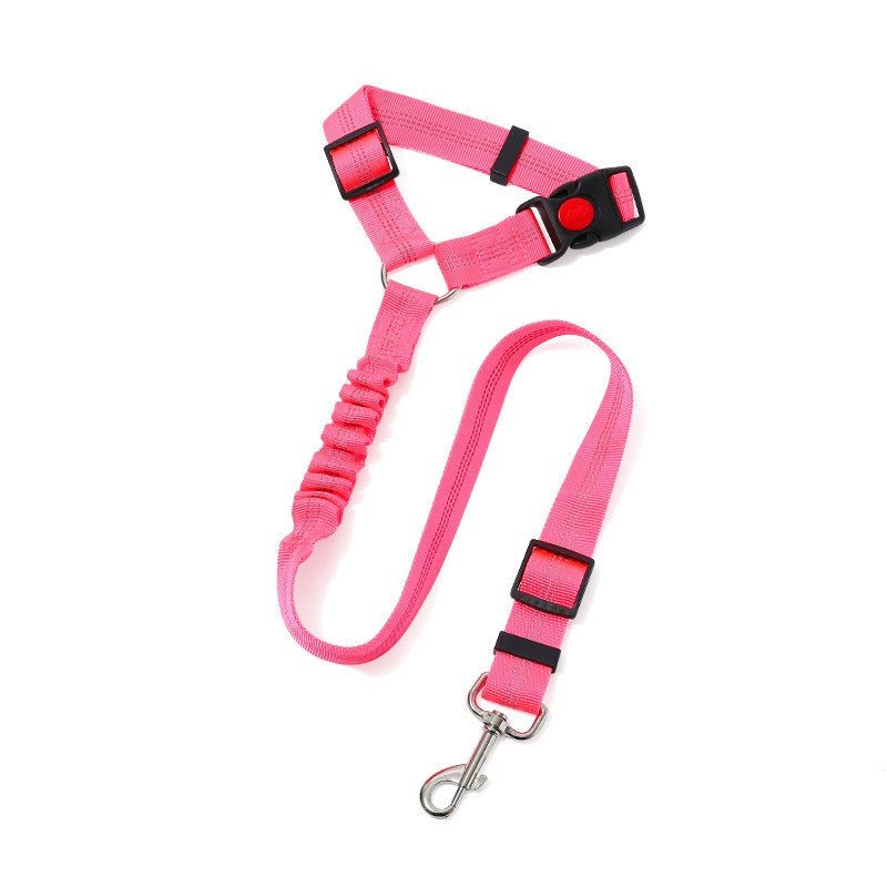 Laisse pour chien| Pro - Teck™ - Chien en balade
