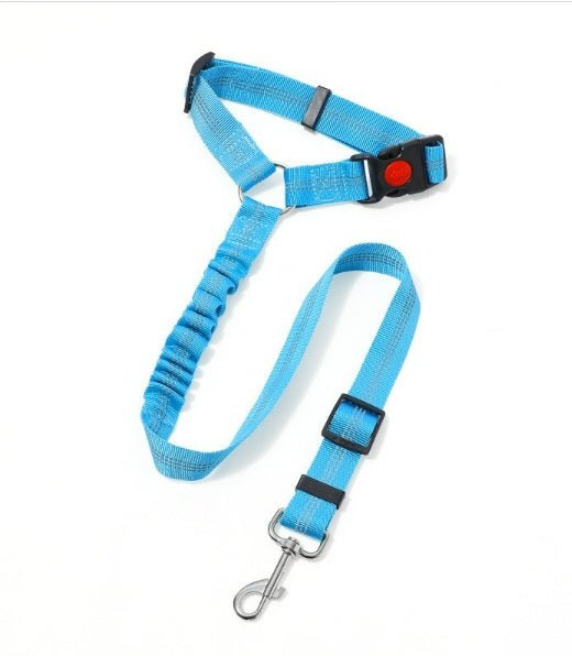 Laisse pour chien| Pro - Teck™ - Chien en balade