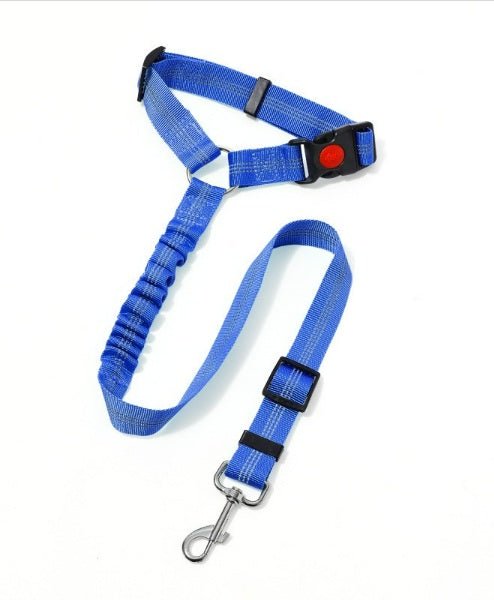 Laisse pour chien| Pro - Teck™ - Chien en balade