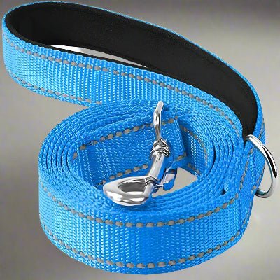 Laisse pour chien| Réfléchissante Reflect™ - Chien en balade