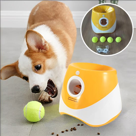 Lanceur de balle pour chien™ - Chien en balade