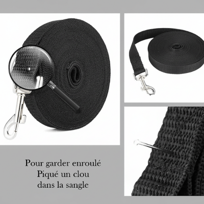 Longe chien | Nyloo™ Éducation sans stress - Chien en balade