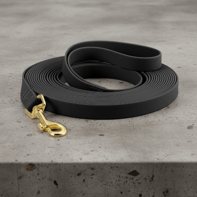 Longe chien | Robuste Sécurité - Chien en balade