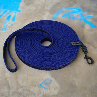 Longe pour chien bleu| LONGO™ - Chien en balade