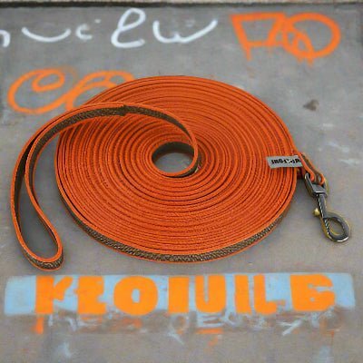 Longe pour chien orange| LONGO™ - Chien en balade