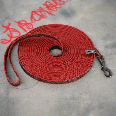 Longe pour chien rouge| LONGO™ - Chien en balade