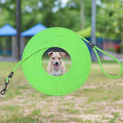 Longe pour chien RappelTech™ - Chien en balade