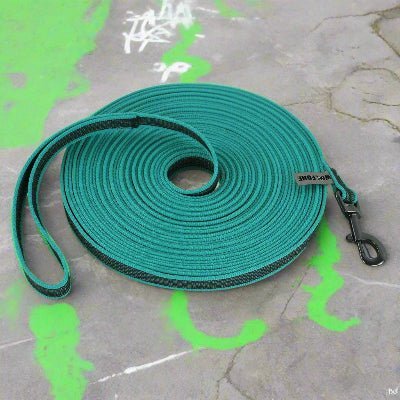 Longe pour chien vert| LONGO™ - Chien en balade