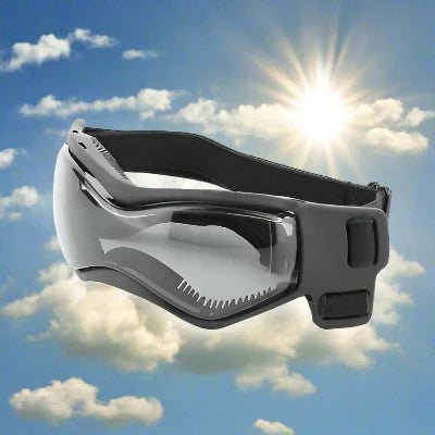 Lunette soleil pour chiens-Luvu noir |Chien en balade