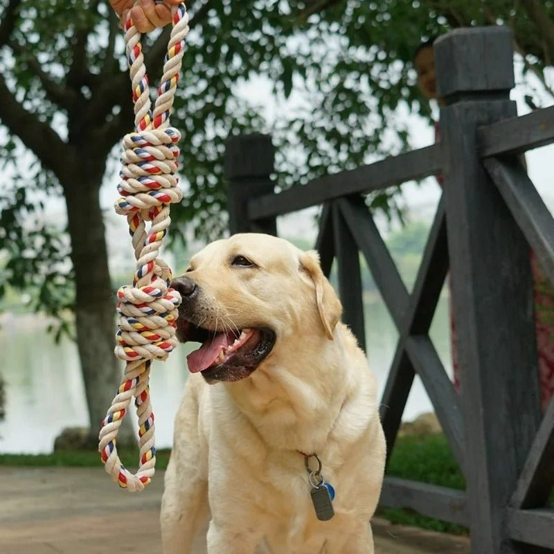 Nœuds à macher pour chien™ - Chien en balade