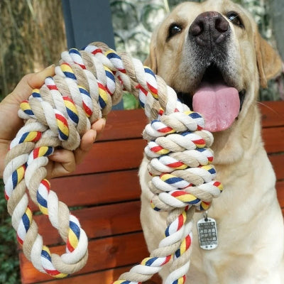 Nœuds à macher pour chien™ - Chien en balade