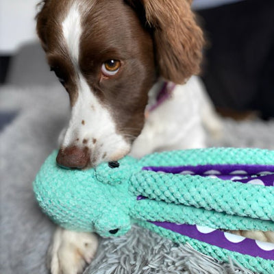 Peluche pieuvre pour chien anxieux |Octopusâą - Chien en balade