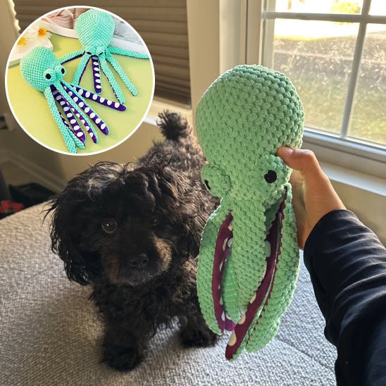 Peluche pieuvre pour petit chien noir |Octopusâą - Chien en balade