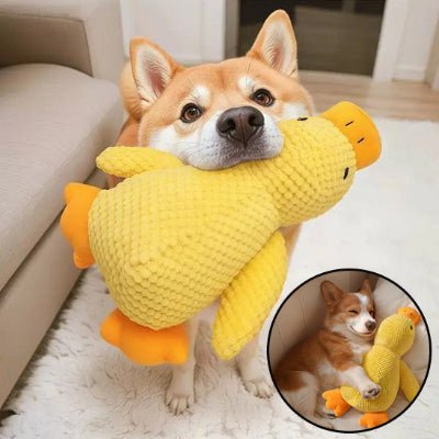 Peluche pour chien| Kouakâą - Chien en balade
