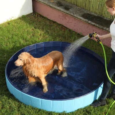 Piscine pour chien| Flac™ - Chien en balade