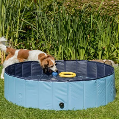 Piscine pour chien| Flac™ - Chien en balade