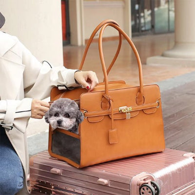 Sac transport pour petit chien Elegance |chien-Chien en balade