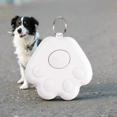 Traceur GPS chien | GipiTag™ - Localisez votre chien en temps réel - Chien en balade